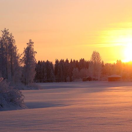 Villa Tiirinkallio Nilsiä Dış mekan fotoğraf