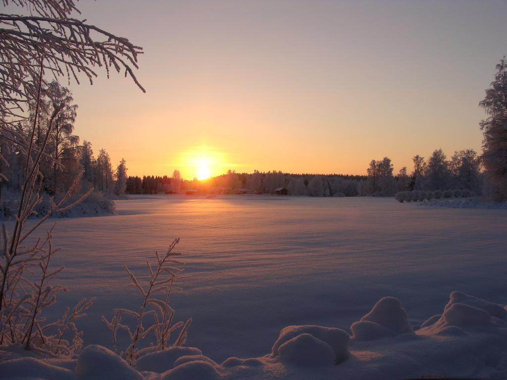 Villa Tiirinkallio Nilsiä Oda fotoğraf