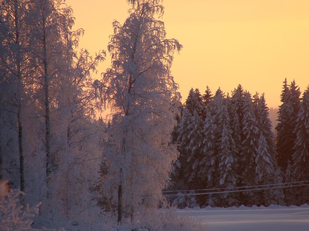Villa Tiirinkallio Nilsiä Oda fotoğraf