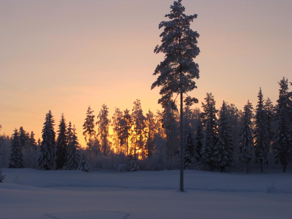 Villa Tiirinkallio Nilsiä Oda fotoğraf