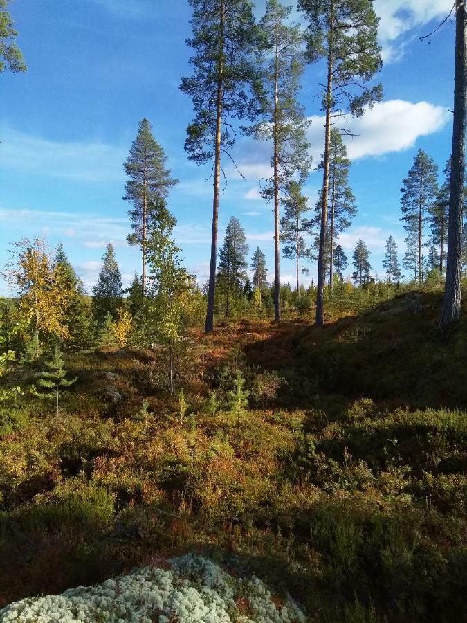 Villa Tiirinkallio Nilsiä Dış mekan fotoğraf