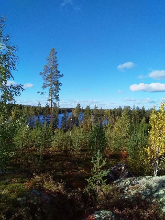 Villa Tiirinkallio Nilsiä Dış mekan fotoğraf