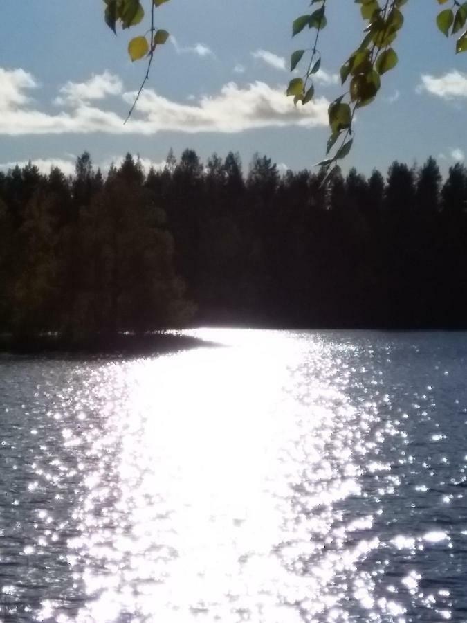 Villa Tiirinkallio Nilsiä Dış mekan fotoğraf