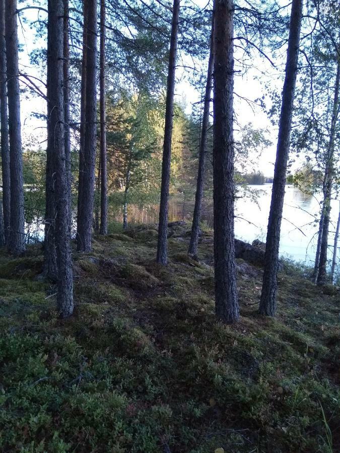 Villa Tiirinkallio Nilsiä Dış mekan fotoğraf