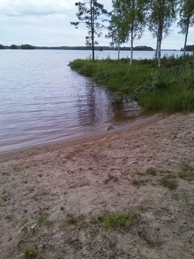 Villa Tiirinkallio Nilsiä Dış mekan fotoğraf